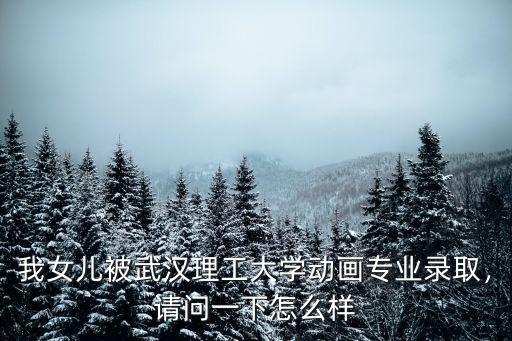 我女兒被武漢理工大學(xué)動(dòng)畫(huà)專業(yè)錄取，請(qǐng)問(wèn)一下怎么樣