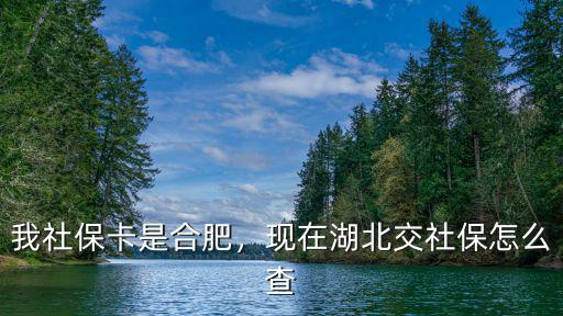 我社保卡是合肥，現在湖北交社保怎么查