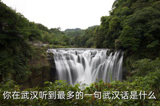 你在武漢聽到最多的一句武漢話是什么