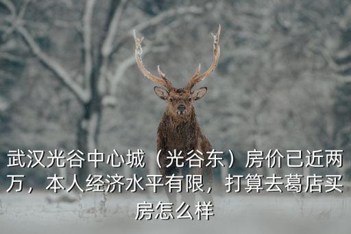 武漢江南花山郡怎么去光谷,武漢光谷中心城