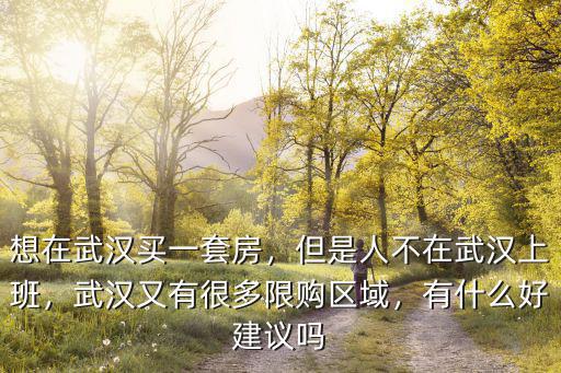 想在武漢買一套房，但是人不在武漢上班，武漢又有很多限購區(qū)域，有什么好建議嗎