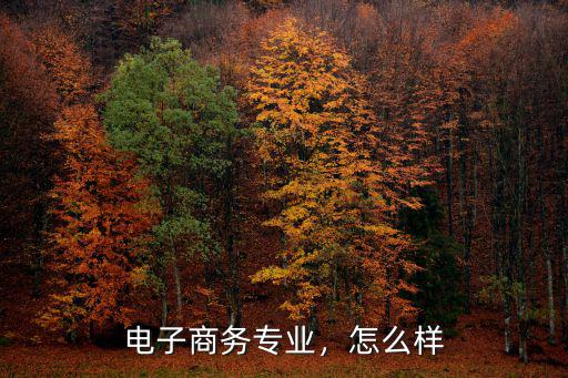 電子商務專業，怎么樣