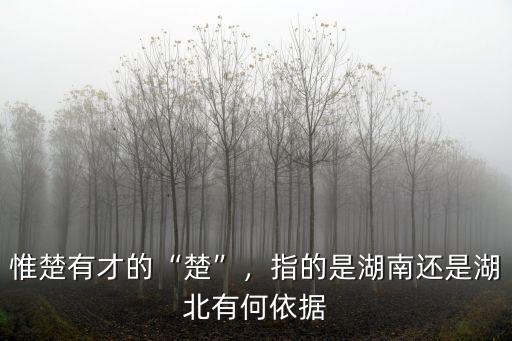 惟楚有才的“楚”，指的是湖南還是湖北有何依據