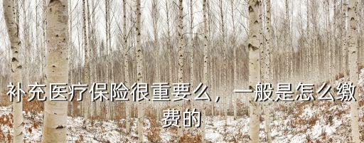 補充醫療保險很重要么，一般是怎么繳費的