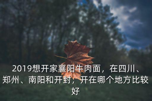 2019想開(kāi)家襄陽(yáng)牛肉面，在四川、鄭州、南陽(yáng)和開(kāi)封，開(kāi)在哪個(gè)地方比較好