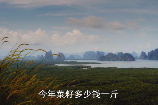 今年安陽油菜籽價格多少錢一斤,油菜籽多少錢一斤
