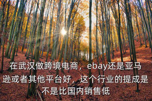 在武漢做跨境電商，ebay還是亞馬遜或者其他平臺好，這個行業的提成是不是比國內銷售低