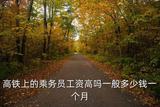 高鐵上的乘務(wù)員工資高嗎一般多少錢一個(gè)月