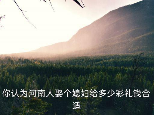 河南人彩禮錢最多能給多少,河南南陽彩禮多少錢