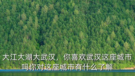 大江大湖大武漢，你喜歡武漢這座城市嗎你對這座城市有什么了解