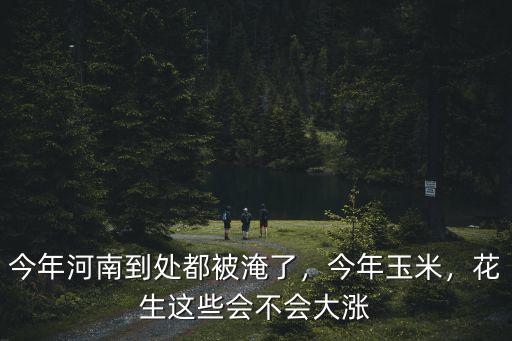 今年河南到處都被淹了，今年玉米，花生這些會(huì)不會(huì)大漲