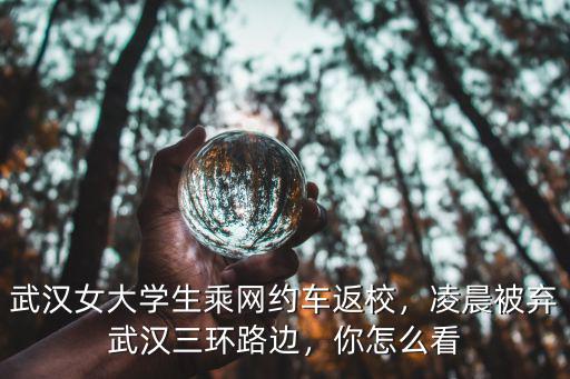 武漢女大學生怎么約,武漢女大學生乘網約車返校