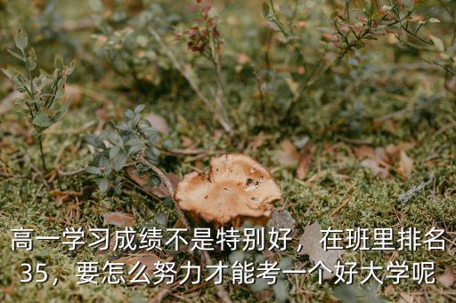 要考平頂山一中在班里排名要多少,在班里排名35