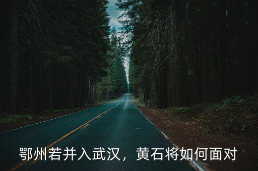 如果漢川并入武漢后武漢會怎么樣,鄂州若并入武漢