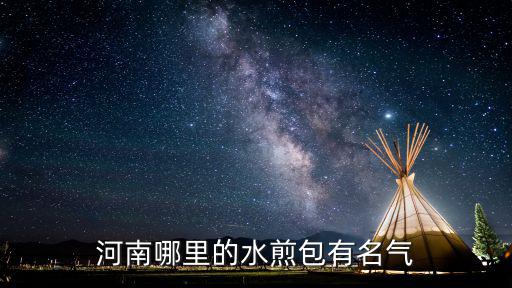 河南哪里的水煎包有名氣