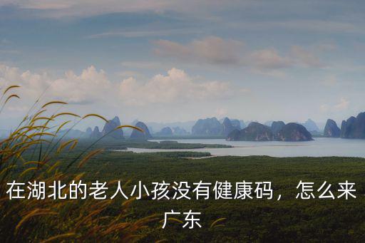 在湖北的老人小孩沒有健康碼，怎么來廣東