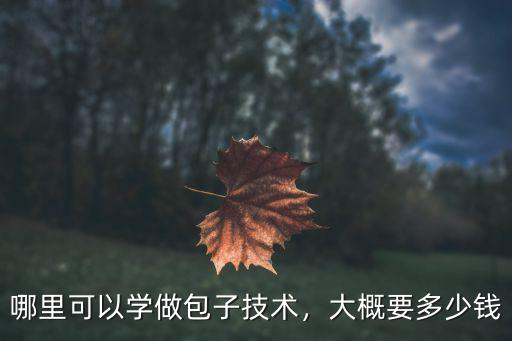 河南到哪里學開包子店,哪里可以學做包子技術