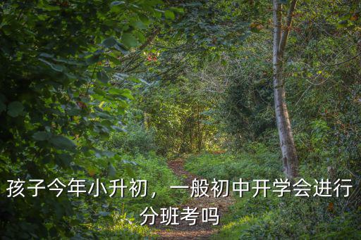 孩子今年小升初，一般初中開學(xué)會進(jìn)行分班考嗎
