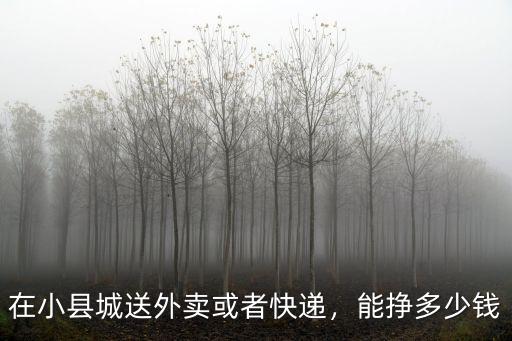 在小縣城送外賣或者快遞，能掙多少錢