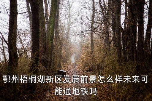 鄂州市未來發(fā)展怎么樣,未來可能通地鐵嗎