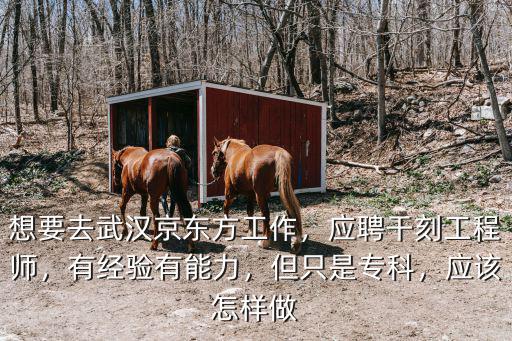 想要去武漢京東方工作，應聘干刻工程師，有經驗有能力，但只是專科，應該怎樣做