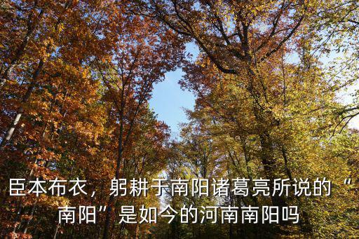 臣本布衣，躬耕于南陽諸葛亮所說的“南陽”是如今的河南南陽嗎