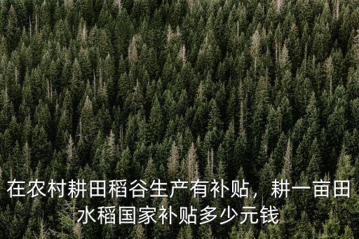 在農村耕田稻谷生產有補貼，耕一畝田水稻國家補貼多少元錢