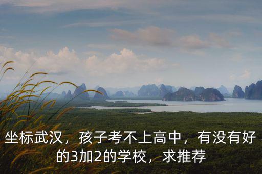 武漢中學生考不上高中怎么辦,武漢初三沒有考上高中怎么辦