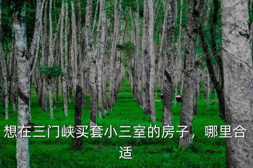 想在三門峽買套小三室的房子，哪里合適