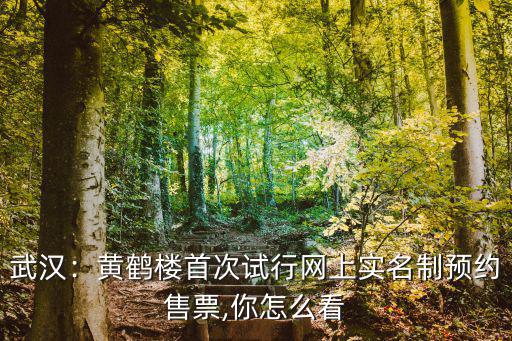 武漢：黃鶴樓首次試行網(wǎng)上實(shí)名制預(yù)約售票,你怎么看