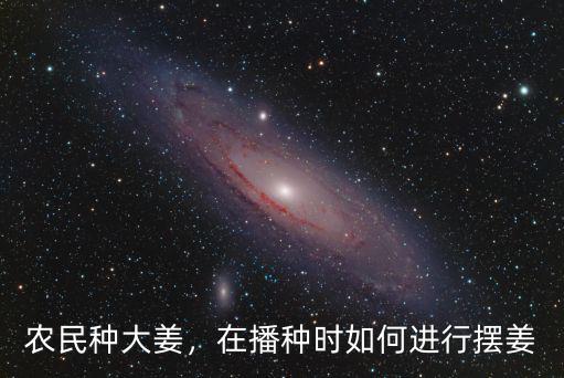 河南種姜怎么存放,怎么保存姜芽