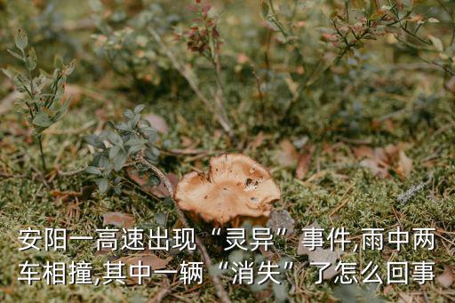 安陽一高速出現(xiàn)“靈異”事件,雨中兩車相撞,其中一輛“消失”了怎么回事