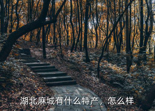 湖北麻城地名怎么樣,湖北麻城有什么特產