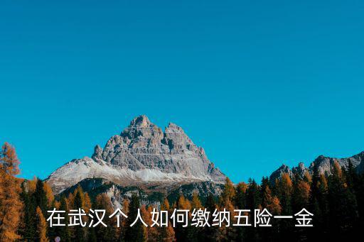 武漢五險一金怎么扣,在武漢個人如何繳納五險一金