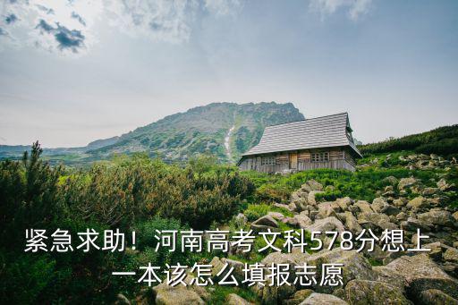 緊急求助！河南高考文科578分想上一本該怎么填報志愿