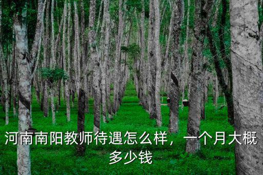河南南陽(yáng)教師待遇怎么樣，一個(gè)月大概多少錢(qián)