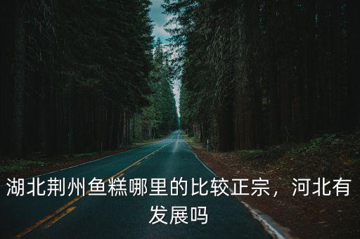 湖北荊州的魚糕是怎么做的,湖北荊州魚糕哪里的比較正宗