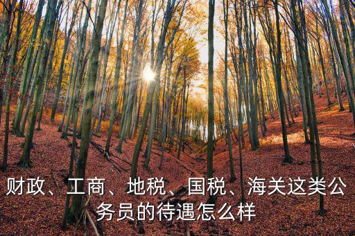 財政、工商、地稅、國稅、海關這類公務員的待遇怎么樣