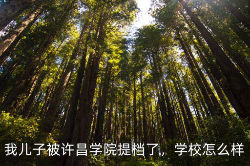 我兒子被許昌學院提檔了，學校怎么樣