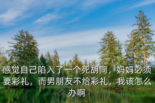 河南男朋友不給彩禮錢怎么辦,而男朋友不給彩禮