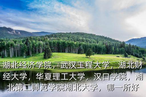 湖北經濟學院，武漢工程大學，湖北財經大學，華夏理工大學，漢口學院，湖北第二師范學院湖北大學，哪一所好