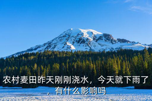 農村麥田昨天剛剛澆水，今天就下雨了，有什么影響嗎