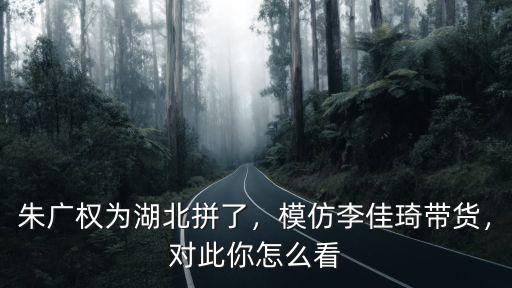 湖北拼單怎么拼,朱廣權(quán)為湖北拼了