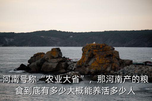 河南號稱“農業大省”，那河南產的糧食到底有多少大概能養活多少人