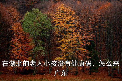 湖北健康碼怎么幫小孩打卡,健康碼怎么申領