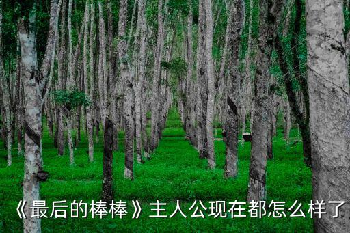 《最后的棒棒》主人公現在都怎么樣了