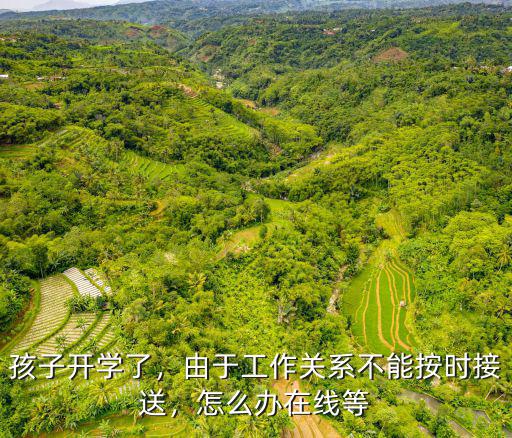 孩子開學(xué)了，由于工作關(guān)系不能按時(shí)接送，怎么辦在線等