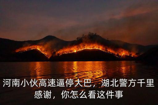 河南高速大巴起火死了多少人,河南小伙高速逼停大巴