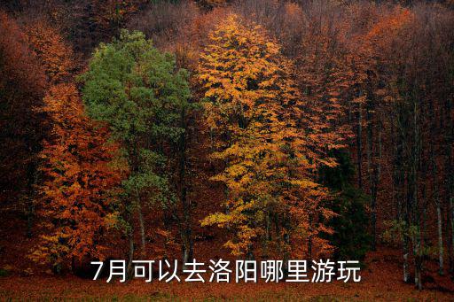 唐風(fēng)韻洛陽(yáng)哪里好玩,春節(jié)洛陽(yáng)旅游哪里好