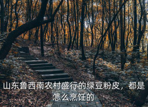 山東魯西南農(nóng)村盛行的綠豆粉皮，都是怎么烹飪的